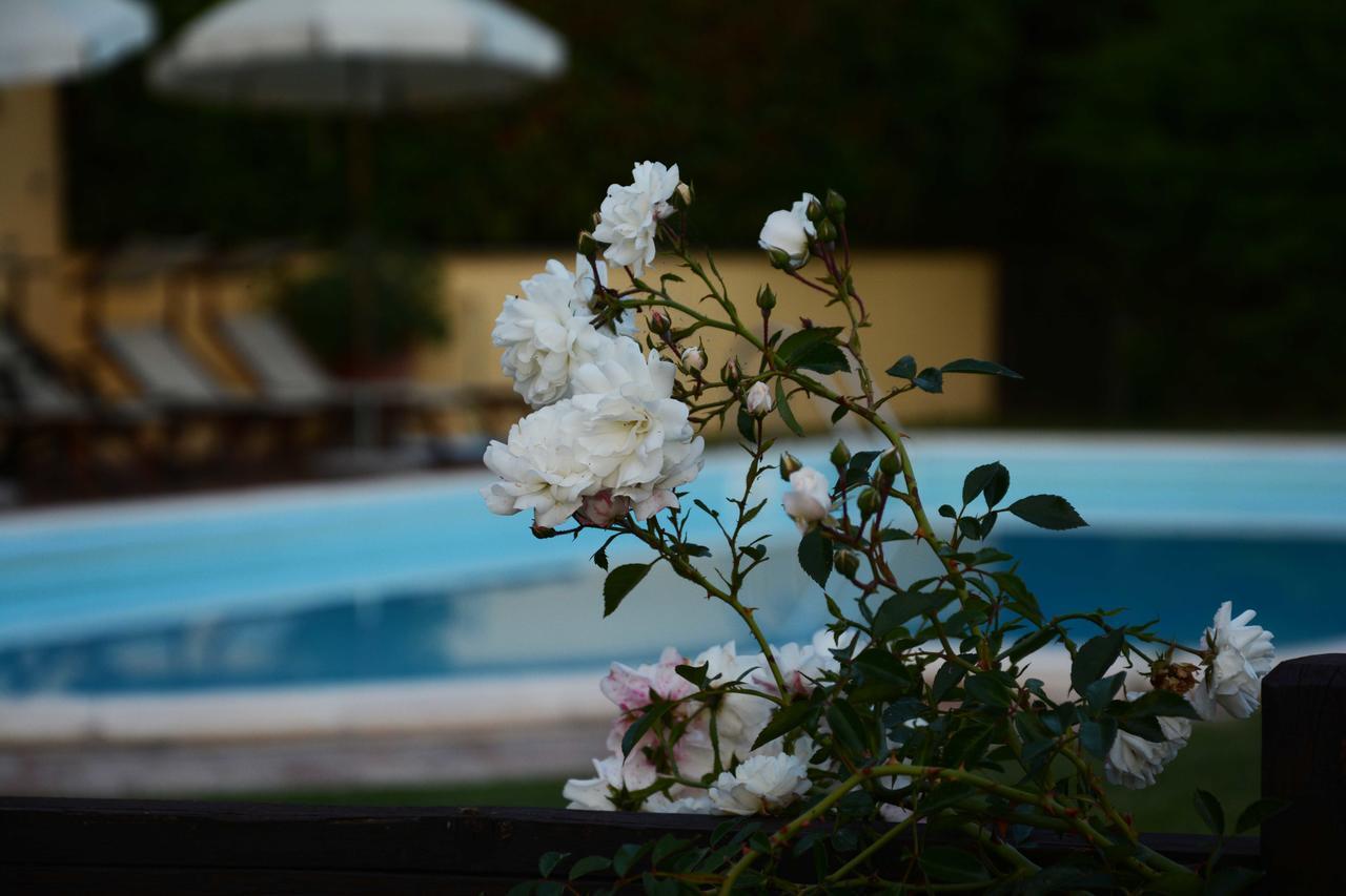 Il Poggiolo Di Parrano Guest House Eksteriør bilde